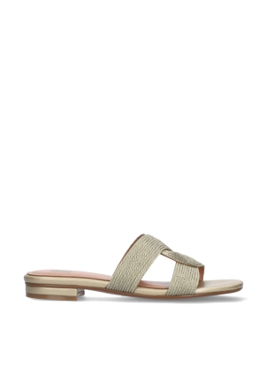 IVANA FLAT