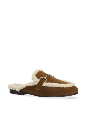 ASHE MULES